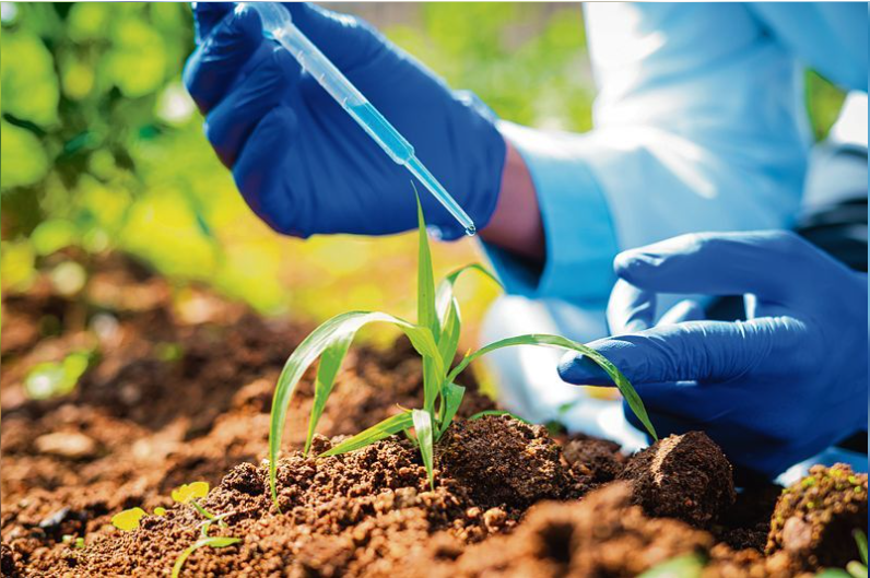 Digital Agronomy, Crop Modelling & AR/VR Lab
