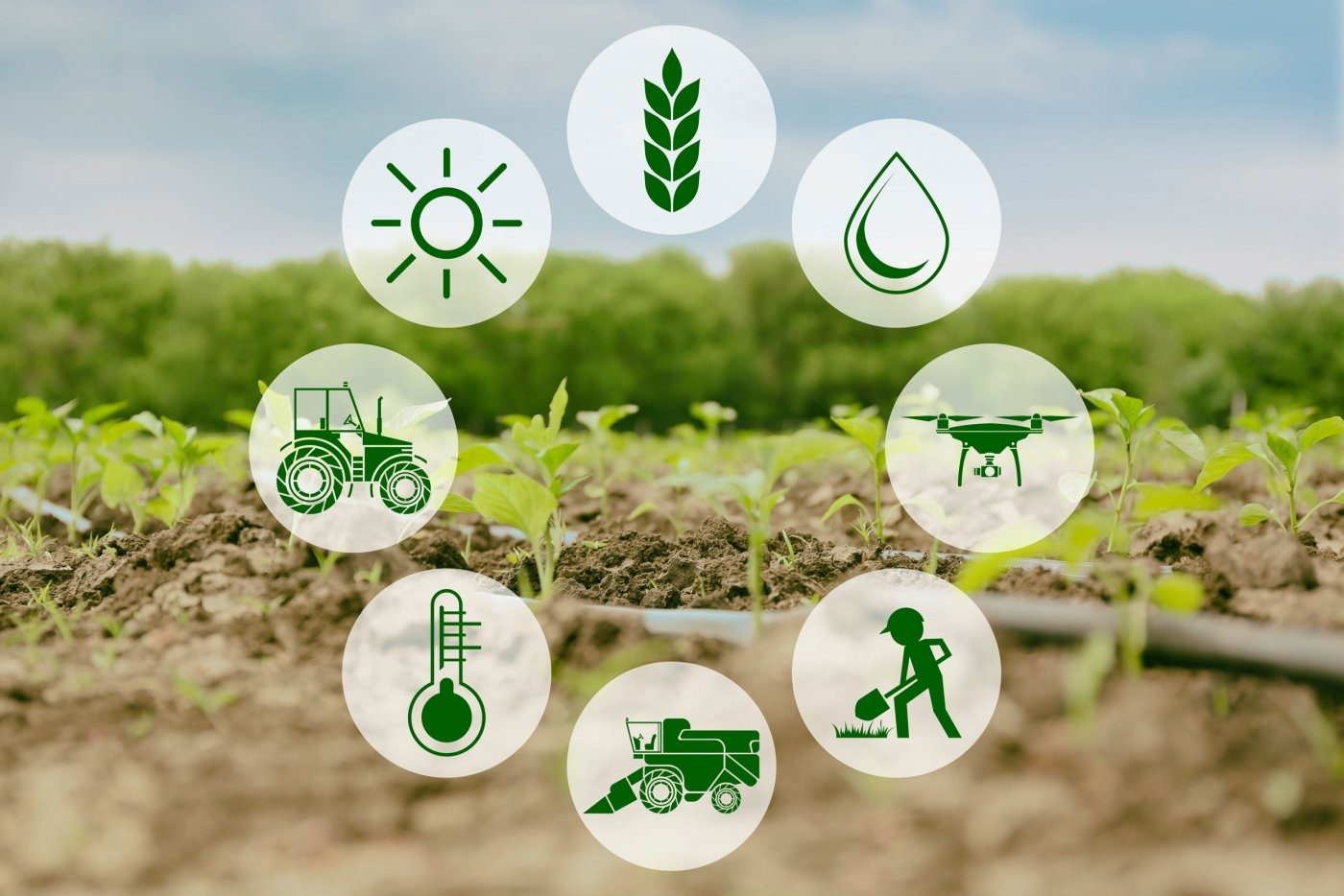 Smart Precision Agriculture Lab